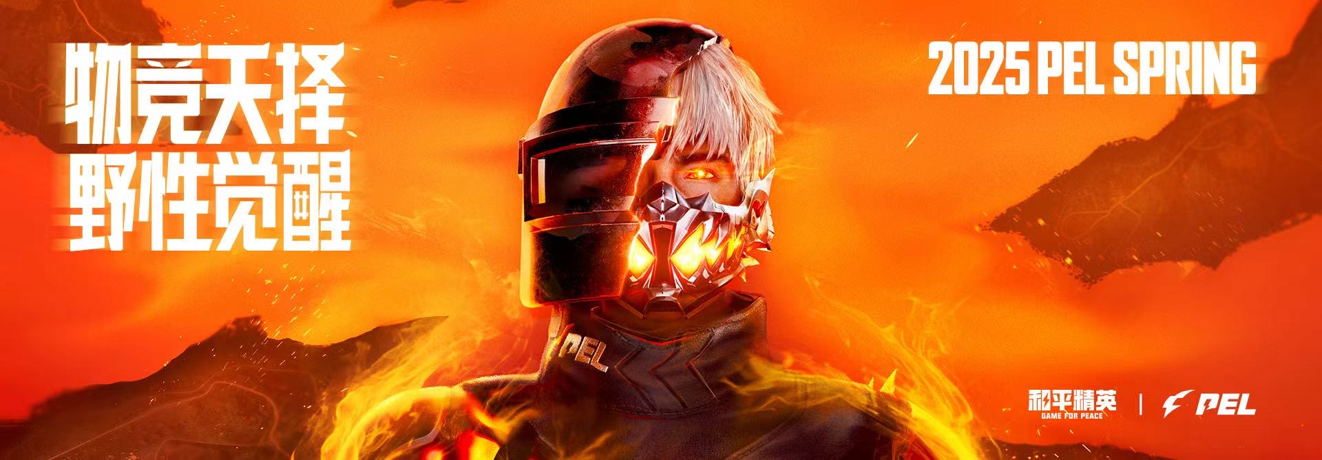 和平精英【SU7内核】辅助