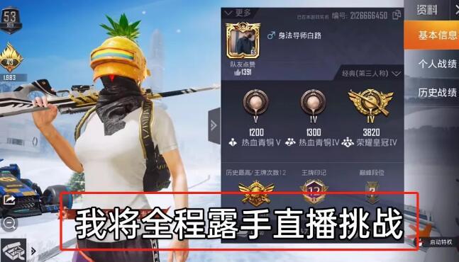 和平精英引擎直装【鹤童】发布:稳定无卡顿,观透与自瞄功能一应俱全